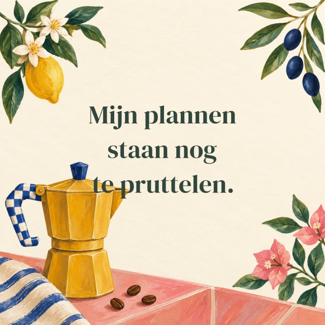 Mijn plannen staan nog te pruttelen.