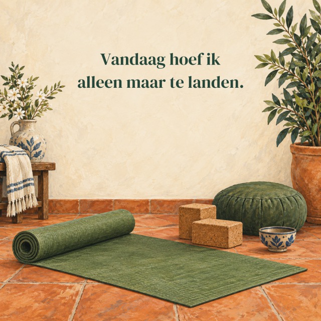 Vandaag hoef ik alleen maar te landen.